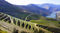 voyage d'une journée complète dans la vallée du Douro avec déjeuner, voyage en bateau et dégustation de vins
