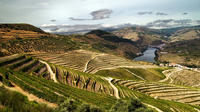 Private Tour: Douro Vinhateiro from Porto with Wine Tasting