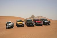 Safari en sans 4x4 avec chauffeur dans le désert de Dubaï with traversée des dunes