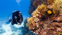 2 Tank Local Dive in Playas del Coco