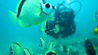 PADI Adventure Diver