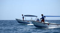 Round-Trip Taxi Boat Ride Between Playas del Coco and Playa Matapalo