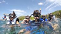 Snorkel Tour in Playa Matapalo