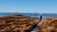 Fiordland Adventure Day Trip