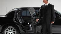 Private Arrival Transfer: Kayseri Airport to Kayseri City Hotels