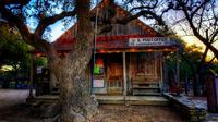 Texas Hill Country and LBJ Ranch Tour with Wine Tasting Options