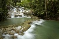 Dunn's River Falls Private Tour From Falmouth