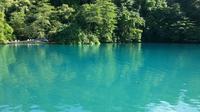 Port Antonio Full-Day Sightseeing Tour from Ocho Rios