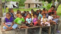 Fijian Village Tour with School Visit