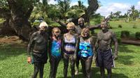 Sabeto Mud Baths and Garden of the Sleeping Giant Private Tour