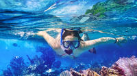 Whitsundays Sail and Snorkel à Blue Pearl Bay et Langford Reef