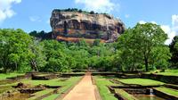Full-Day Tour of Sigiriya Rock Fortress and Dambulla Cave Temples by Luxury Vehicle