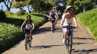 Constantia Wine Valley Bike Tour in Cape Town 