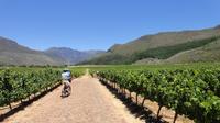 Franschhoek Vignerons Sip and Cycle Bike Tour from Cape Town