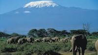5 nuits Tanzanie Safari d'Arusha