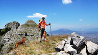 Walk around Faito Mountain, the Highest Point of the Amalfi Coast and Sorrento Peninsula