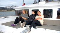 Fjord Cruise with Luxury Catamaran in Tromso
