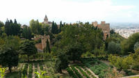 Private Full Day Tour to the Alhambra from Marbella