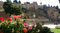 Demi-journée Visite privée dans historique Malaga