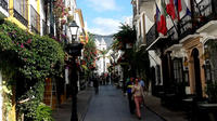 Private Half-Day Tour in Marbella Old Town with Arab and Castilian Remains from Marbella