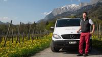 Excursion unique de 3 heures à la découverte des vins - demi-journée dans les Alpes suisses image 1 Excursion unique de 3 heures à la découverte des vins - demi-journée dans les Alpes suisses image 1