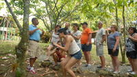 Half-Day Dominican Republic Safari Tour from Punta Cana 