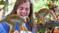 Monkeyland Safari and Zip Line Tour in Punta Cana