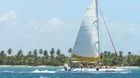 Excursion d'une journée Saona De Punta Cana