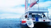 Punta Cana Half-Day Catamaran Cruise