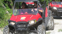 Punta Cana Safari Zipline or Buggy Adventure Tour