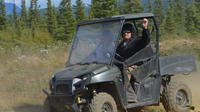 Alaskan Back Country Side by Side ATV Adventure with Meal