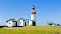 Full-Day 1770 Tour by LARC Amphibious Vehicle Including Sandboarding and Bustard Head Lightstation