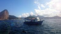 Passeio turístico de barco na Baía de Guanabara, no Rio de Janeiro, incluindo transporte