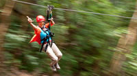 7 Ligne Treetop Zip Tour de