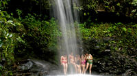 Zipline and Waterfall Hike Combo Tour