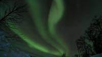 Visite privée de l'Arctique Northern Lights de Utsjoki