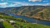 Douro Valley Guided Tour from Porto