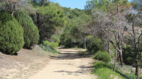 Ancient Roman Road