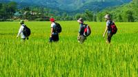 Overnight Mai Chau Pu Luong Trekking Tour