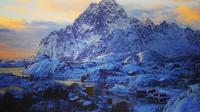 Winter Full Day Guided Tour of the Lofoten Islands