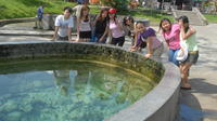 Excursion aux sources d'eau chaude et à la cascade de Templer Park au départ de Kuala Lumpur