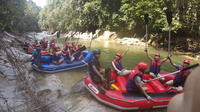 Gopeng Rainforest White Water Rafting Day Trip