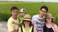 Rice Fields and Fireflies Tour including Lunch and Dinner from Kuala Lumpur