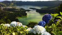 Sete Cidades Half-Day from Ponta Delgada