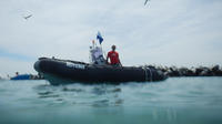 Mornington Peninsula Discover The Bay Boat Charter Snorkel Tour