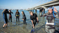  Mornington Peninsula Free-Diving Beginner Course