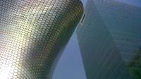 Contemporary Architecture Tour in Mexico City Including Soumaya Museum
