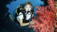 5-Day Dive Pack for Certified Divers in Marsa Alam