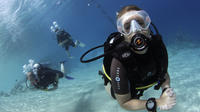 Day of Scuba Diving by Boat for Certified Divers