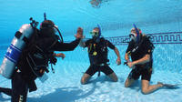 Open Water Course in Marsa Alam
